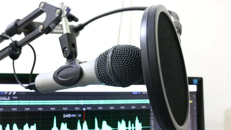 What does a pop filter do?