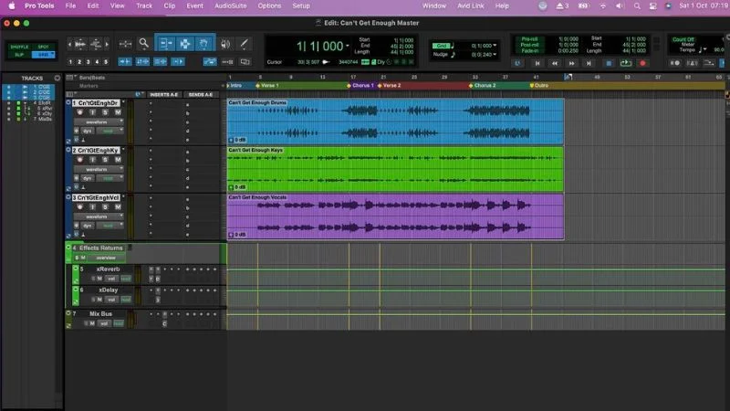 ProTools: Ideal for voiceovers, dubbing and lip-sync projects